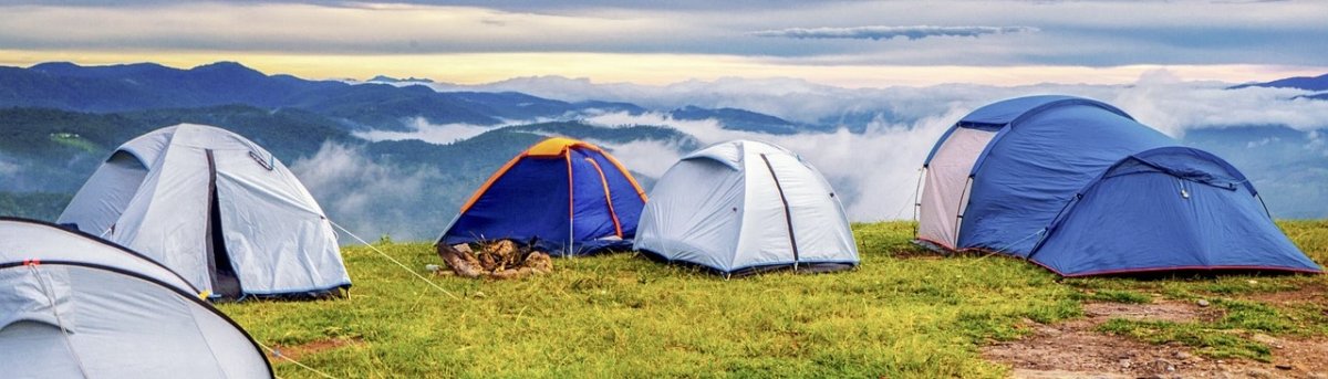 Screen Shot 2023 12 29 at 11.32.01 AM